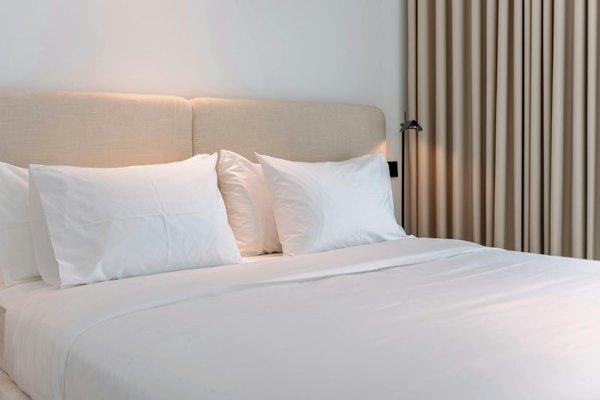 Comment organiser une croisière pour observer les aurores australes en Antarctique?